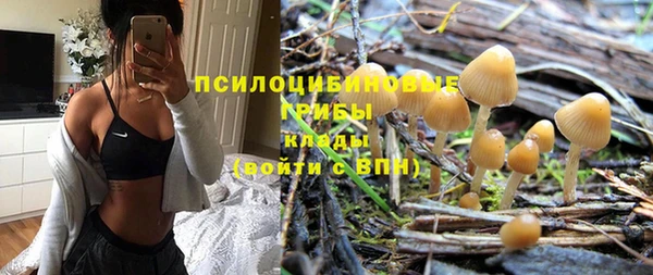 стафф Надым