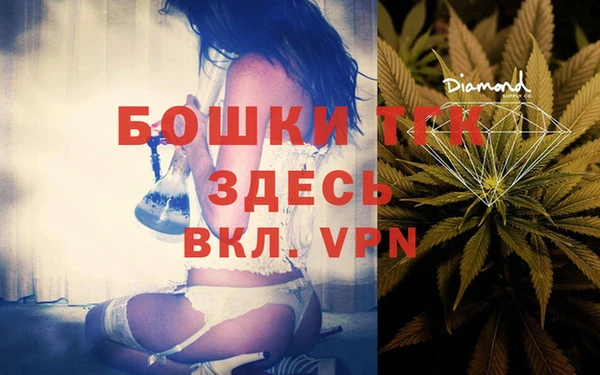 стафф Надым