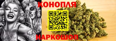 spice Дубна