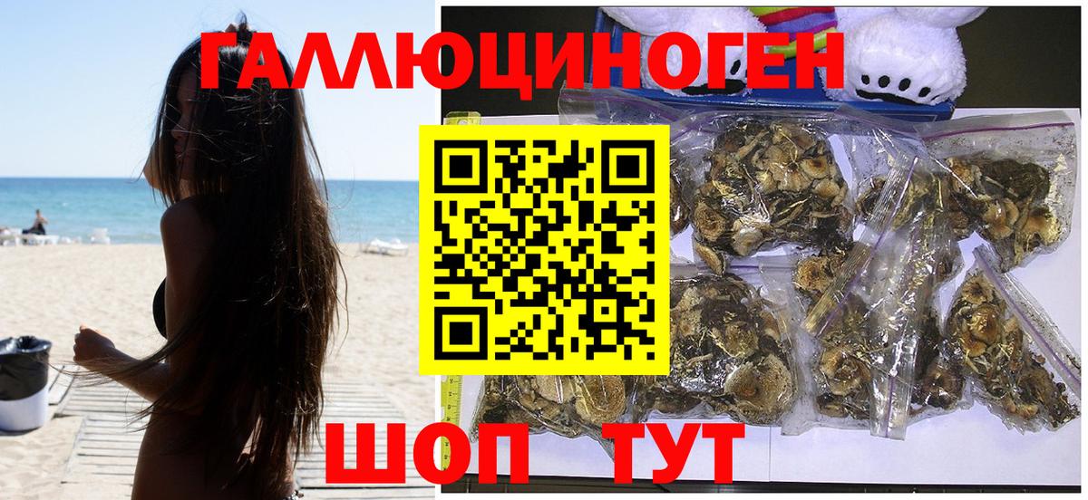 Псилоцибиновые грибы Psilocybe Кулебаки