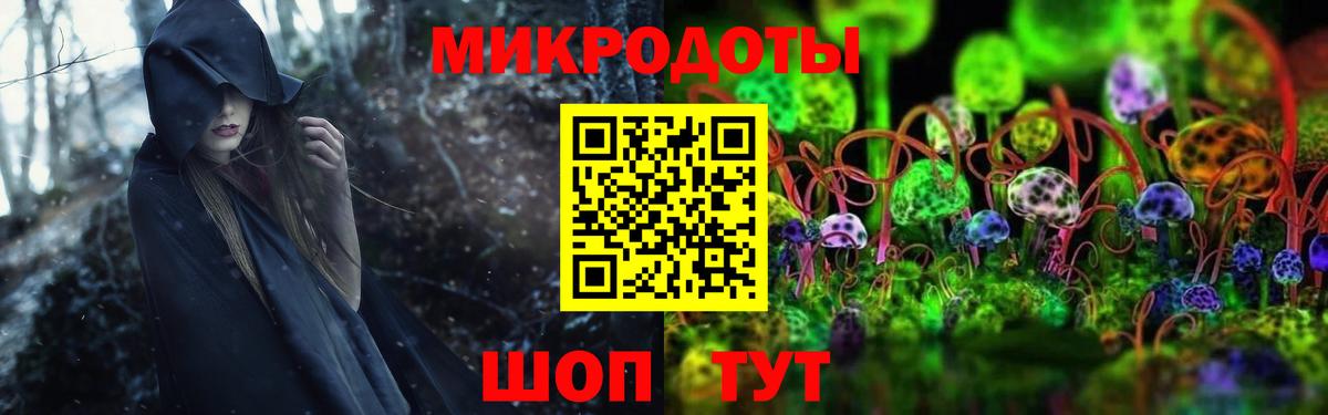продажа наркотиков  Вход с VPN  Кулебаки  Псилоцибиновые грибы Cubensis 